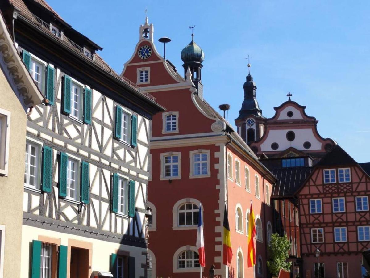 Perfekt Fuer Familien Und Gruppen Nur 10Min Vom Europapark - W6 Daire Ettenheim Dış mekan fotoğraf